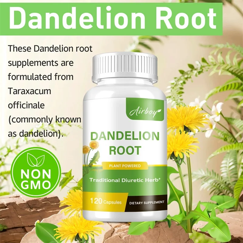 Kapsułki z korzenia mniszka le – Home Bathroom Urinal recenzja i cena